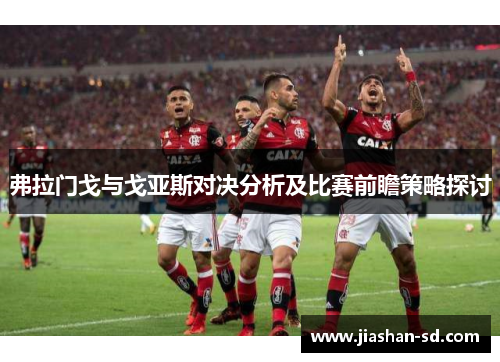 弗拉门戈与戈亚斯对决分析及比赛前瞻策略探讨